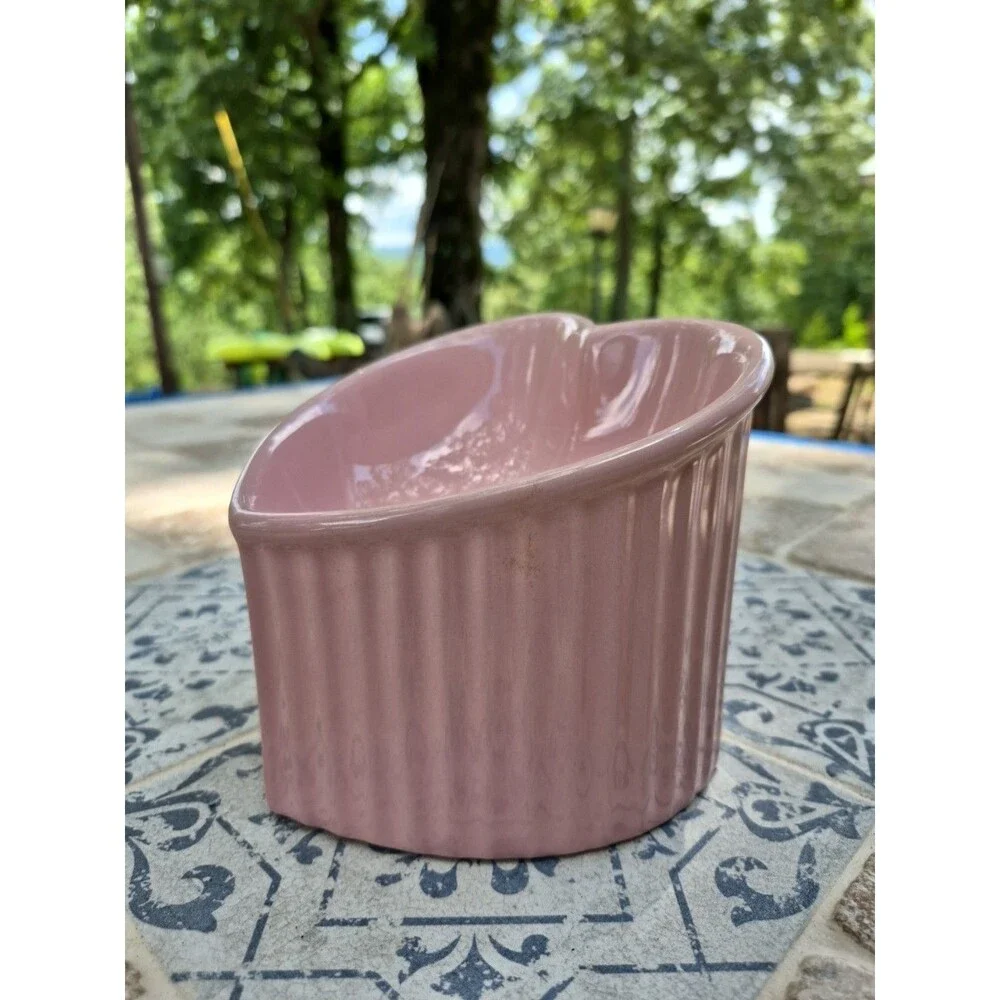Ceramic Raised Cat-Bowls,Tilted Elevated Food or Water Bowls,Stress Free Mauve